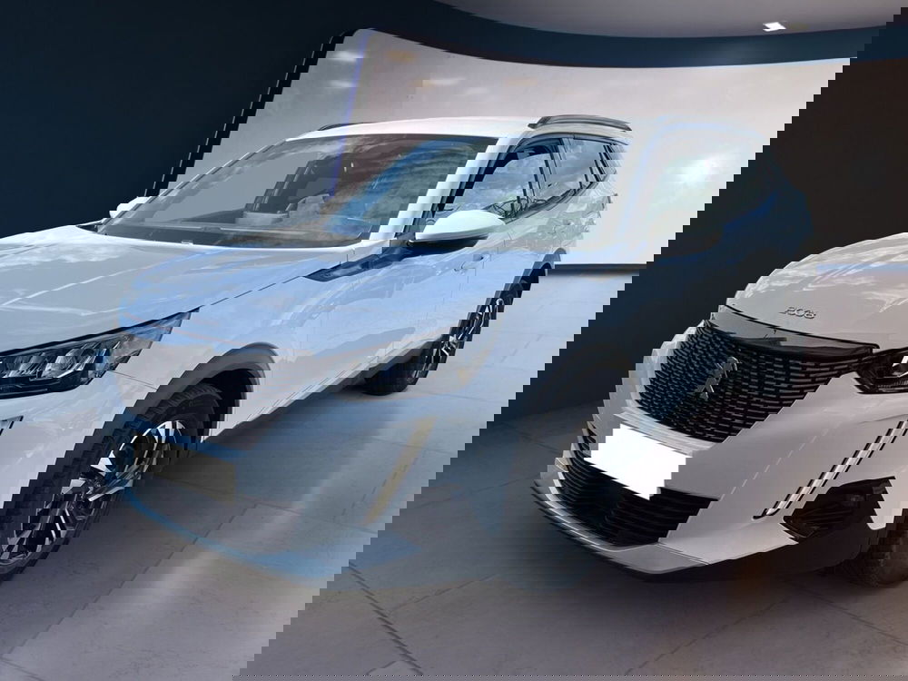 Peugeot 2008 usata a Torino (2)