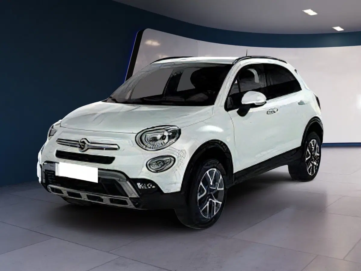 Fiat 500X usata a Torino