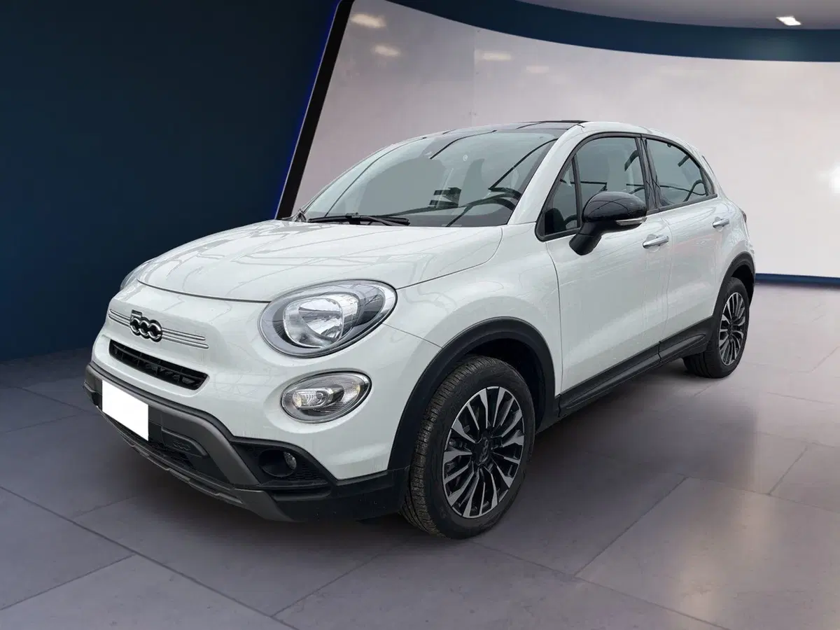Fiat 500X usata a Torino (3)