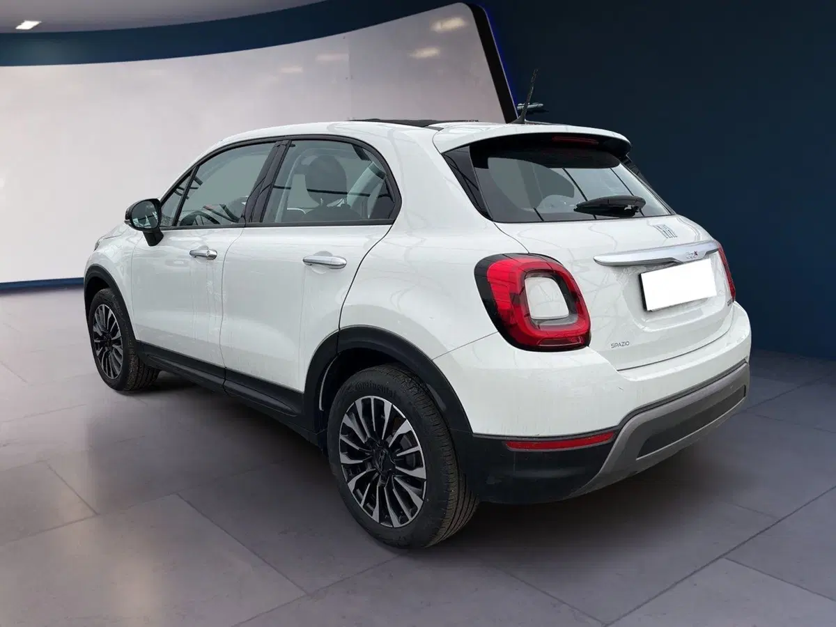 Fiat 500X usata a Torino (6)