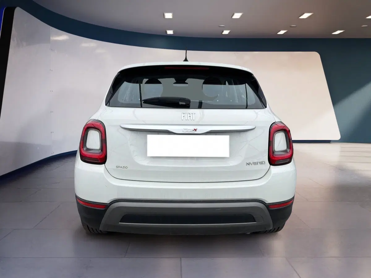 Fiat 500X usata a Torino (7)