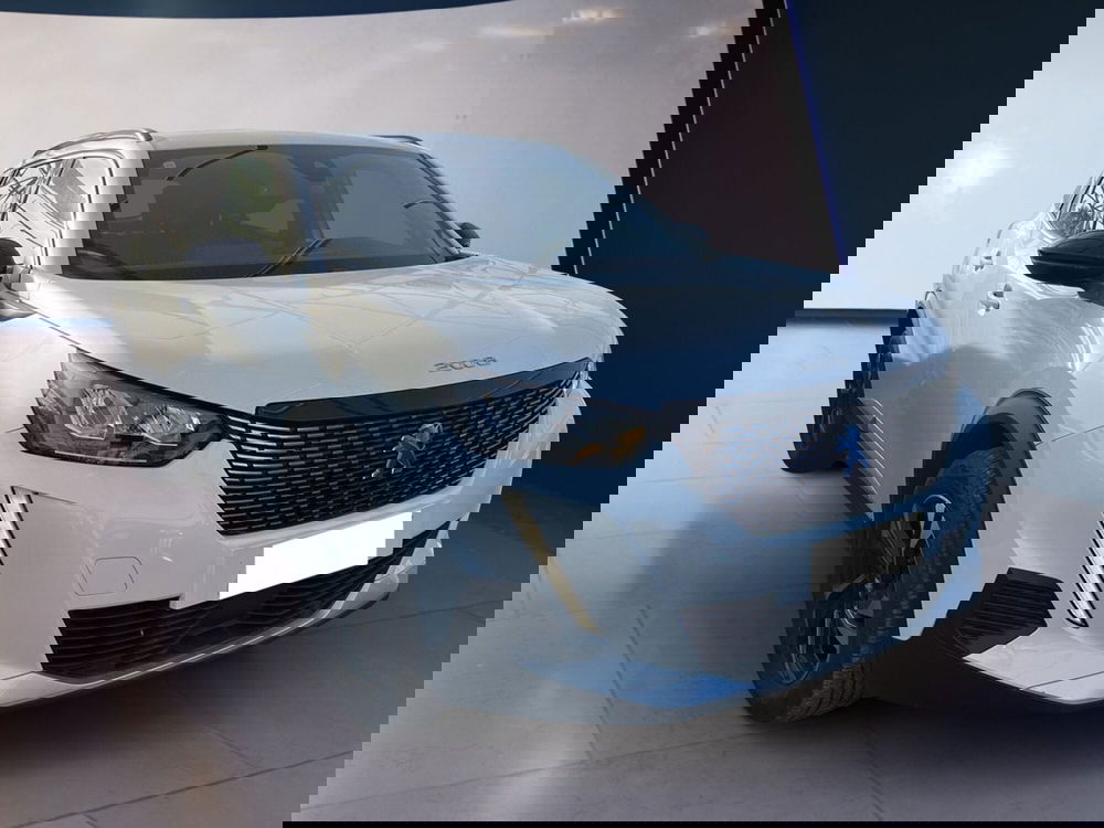 Peugeot 2008 usata a Torino (2)