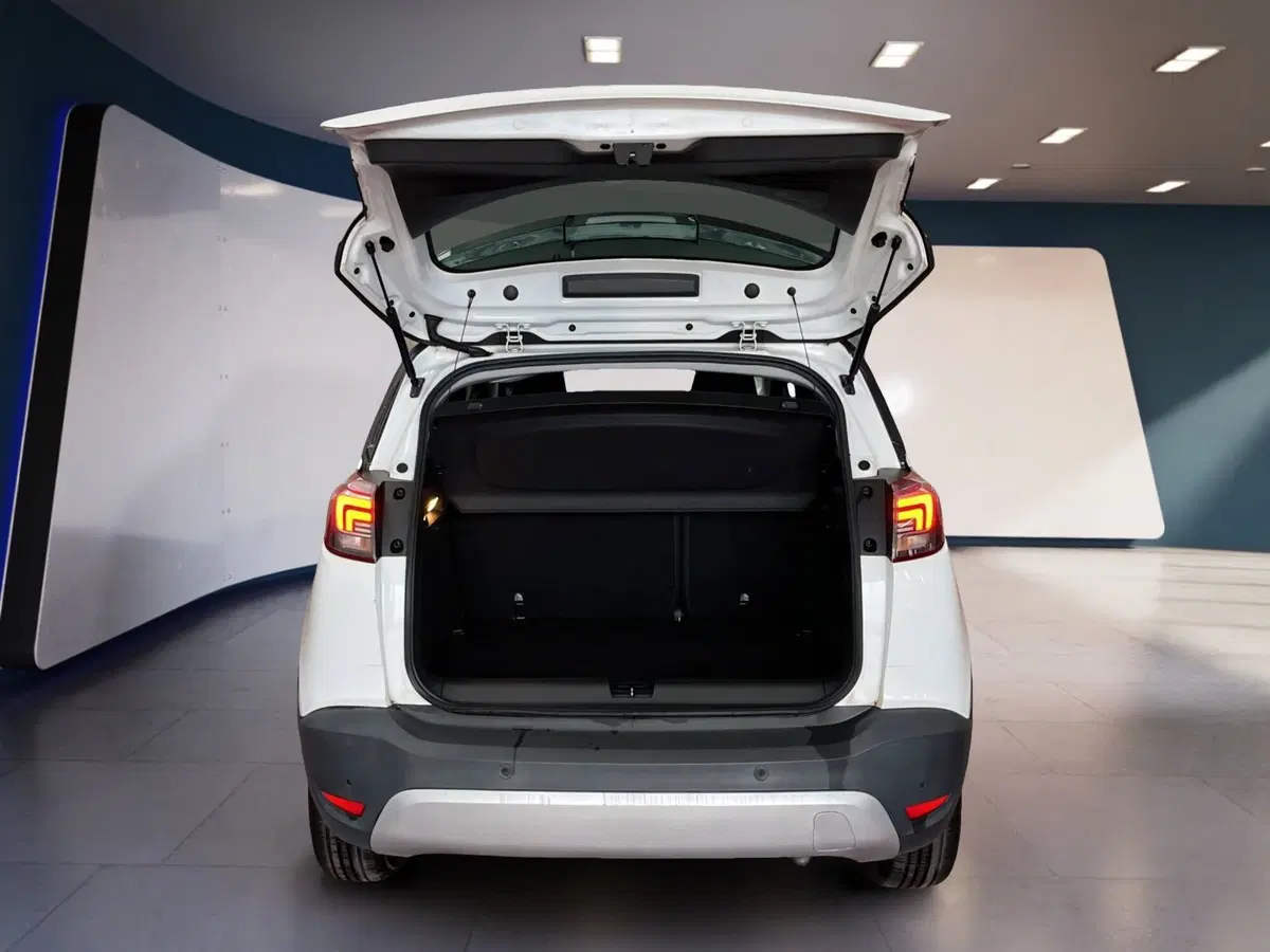 Opel Crossland X usata a Torino (7)