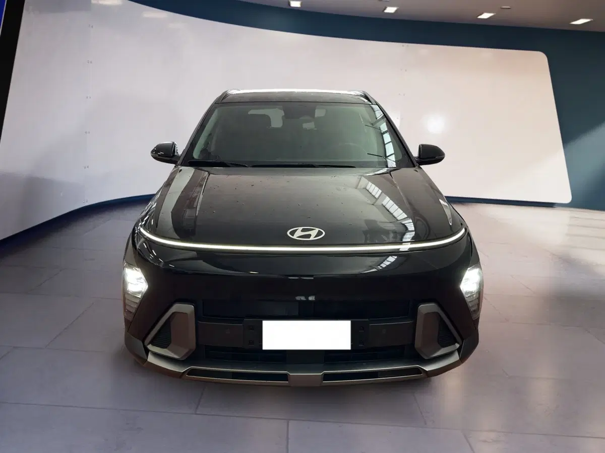 Hyundai Kona usata a Torino