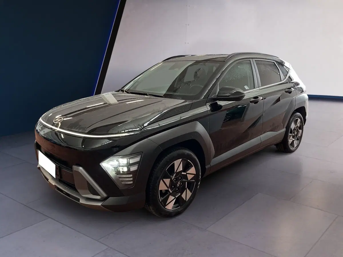 Hyundai Kona usata a Torino (2)