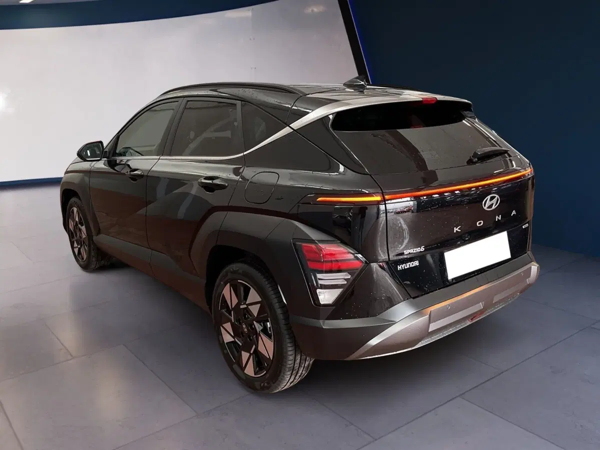 Hyundai Kona usata a Torino (6)