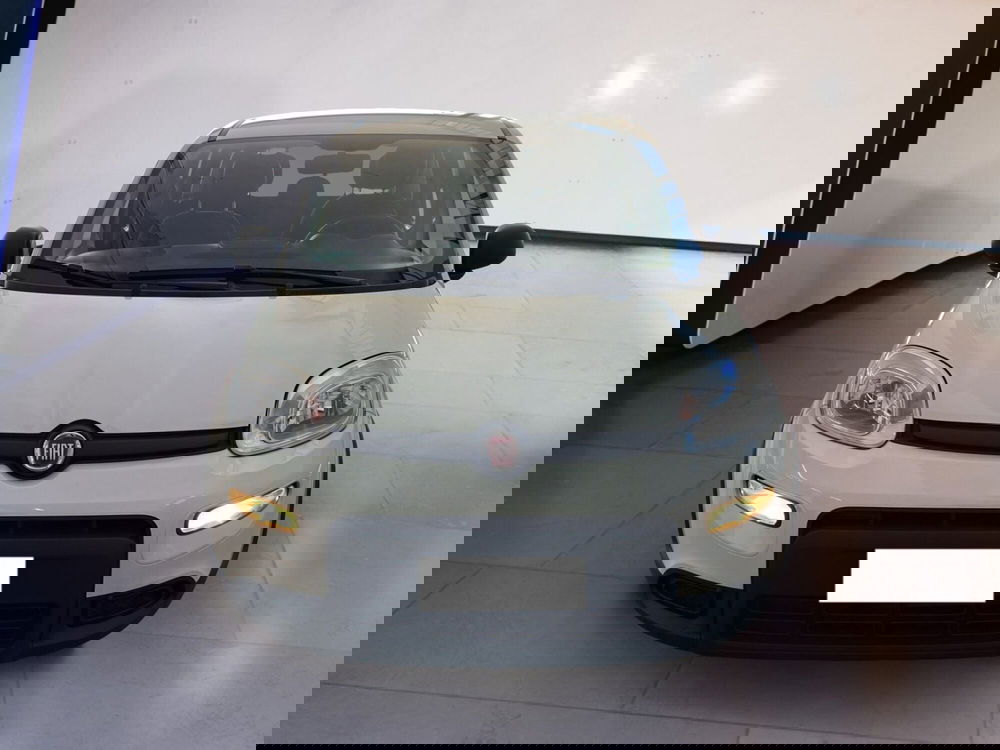 Fiat Panda Cross usata a Torino