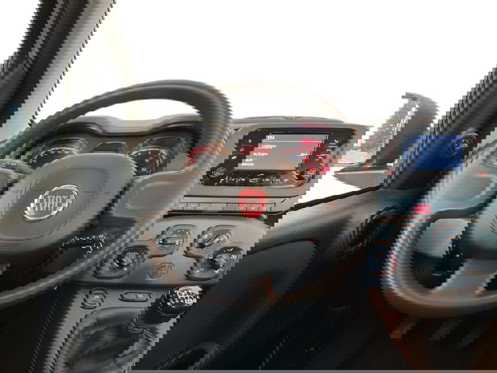 Fiat Panda Cross usata a Torino (11)