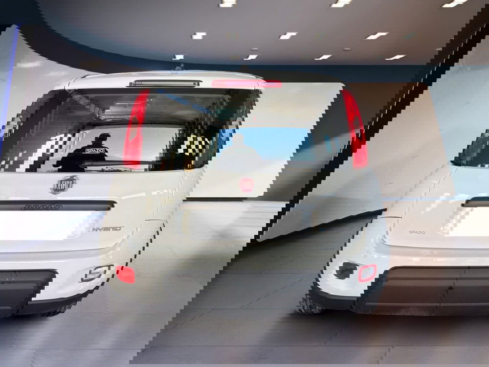 Fiat Panda Cross usata a Torino (5)