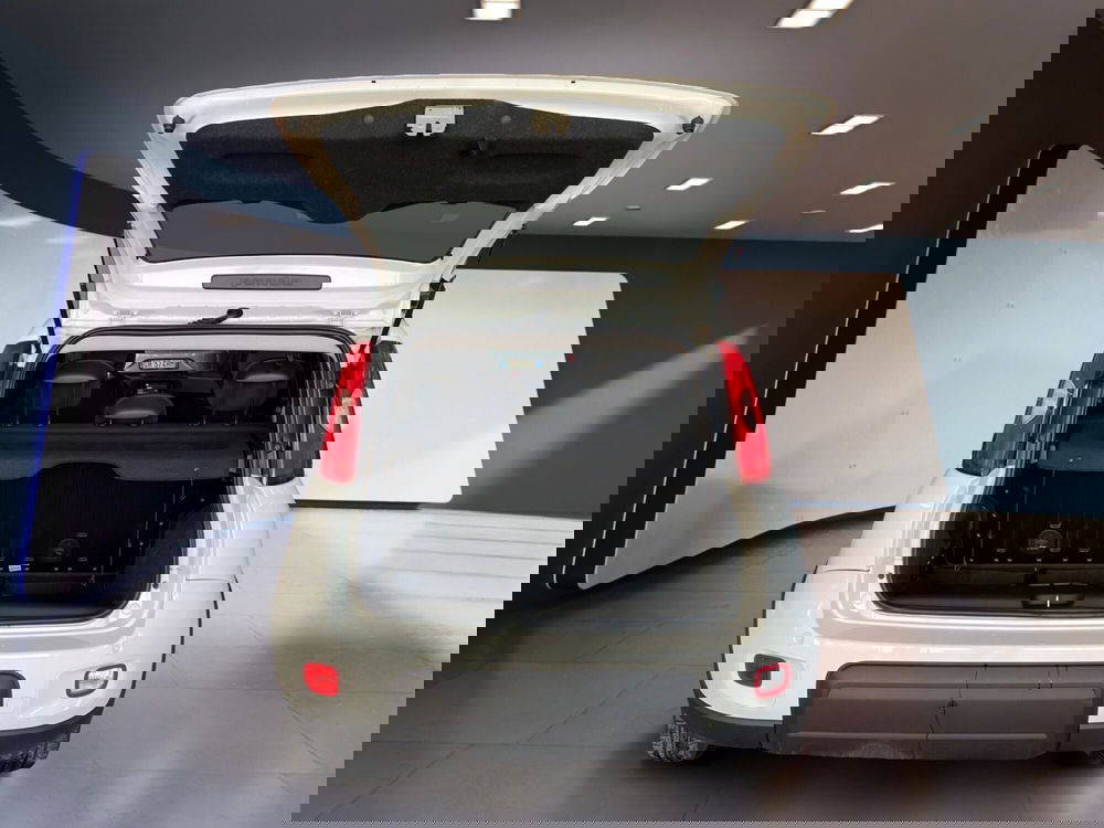 Fiat Panda Cross usata a Torino (7)