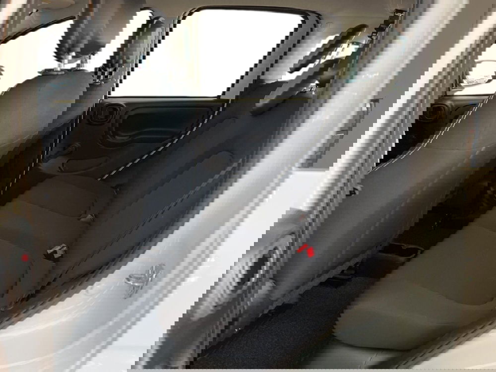 Fiat Panda Cross usata a Torino (8)