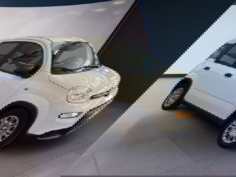 Fiat Panda usata a Torino (3)