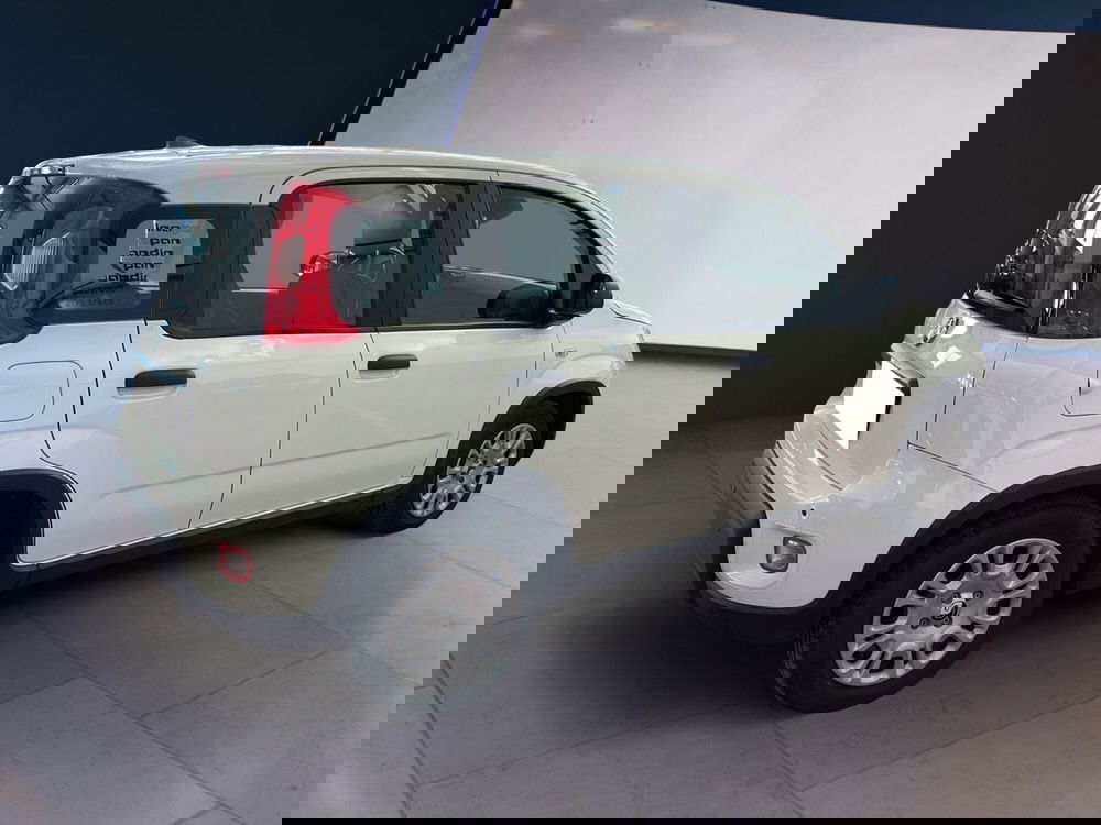 Fiat Panda usata a Torino (4)