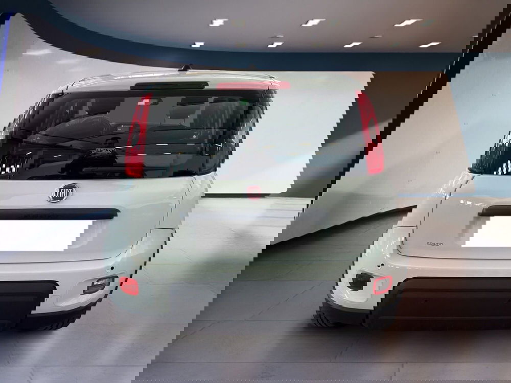 Fiat Panda usata a Torino (5)