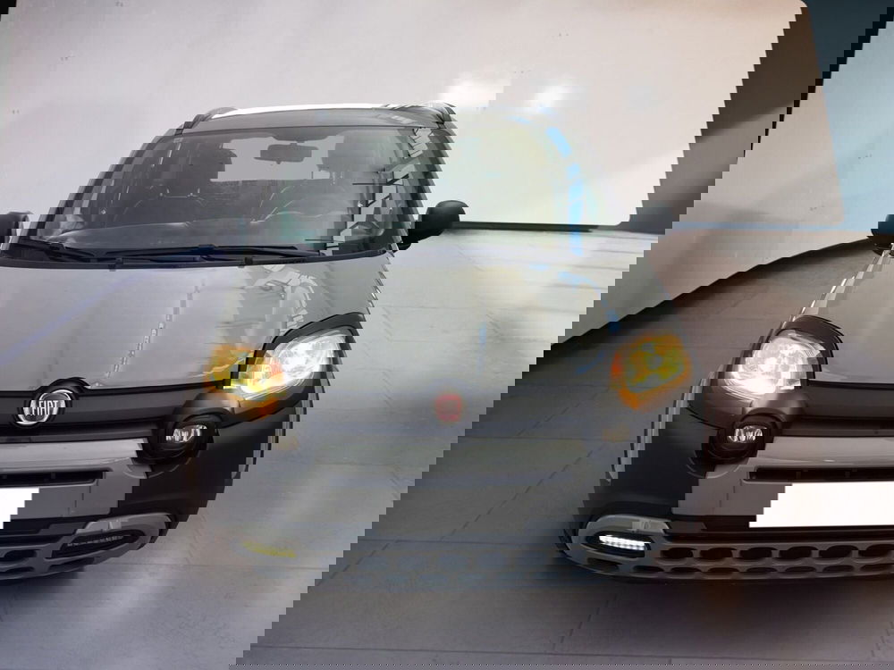 Fiat Panda usata a Torino