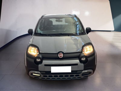 Fiat Panda 1.2 EasyPower City Cross del 2021 usata a Torino