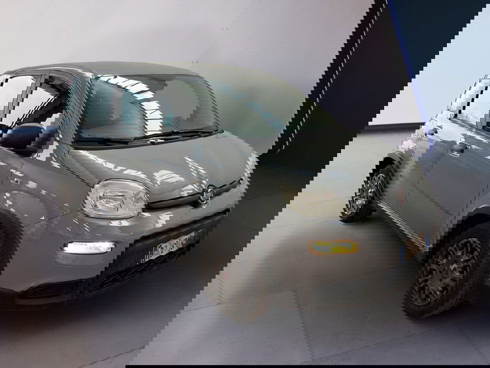 Fiat Panda Cross usata a Torino (2)