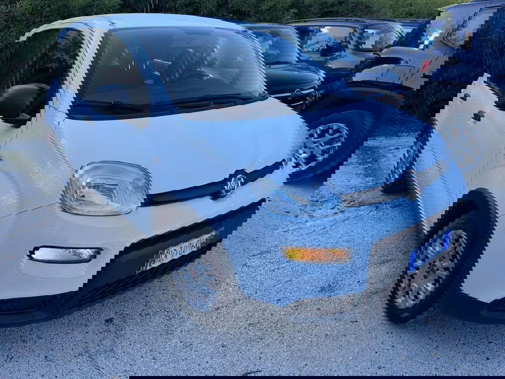 Fiat Panda Cross nuova a Milano (3)