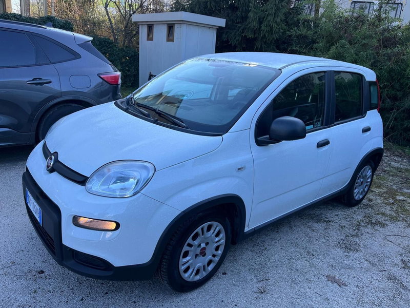 Fiat Panda Cross nuova a Milano (6)