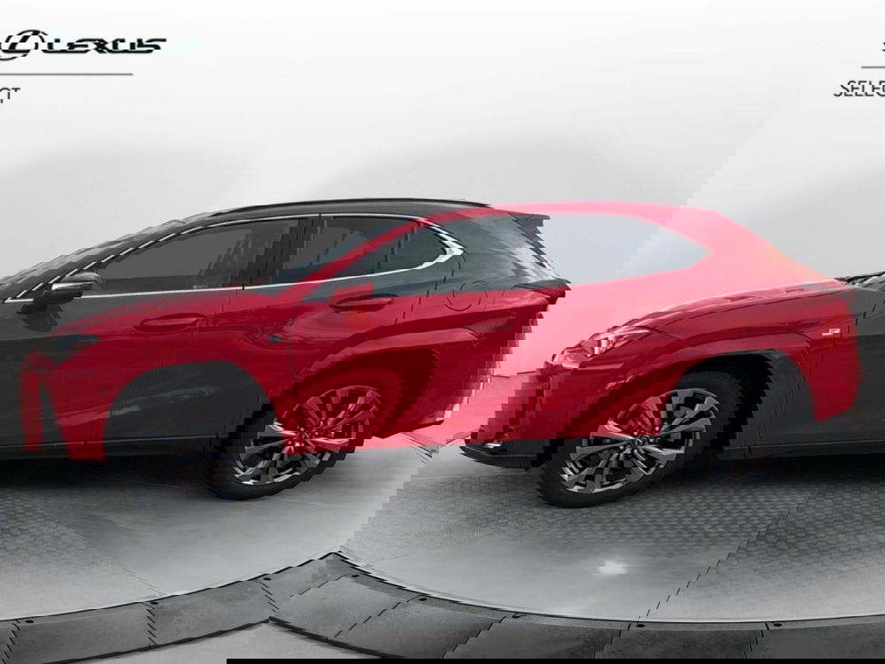 Lexus UX usata a Siracusa (2)