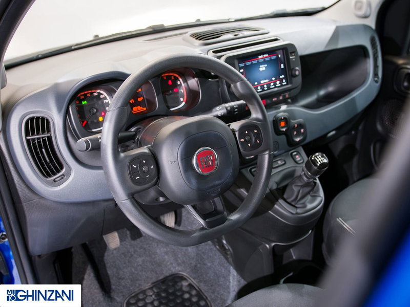 Fiat Panda Cross usata a Bergamo (11)