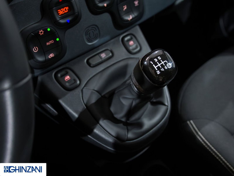 Fiat Panda Cross usata a Bergamo (16)