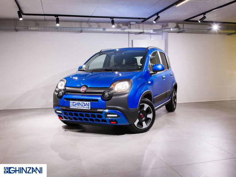 Fiat Panda Cross usata a Bergamo (2)