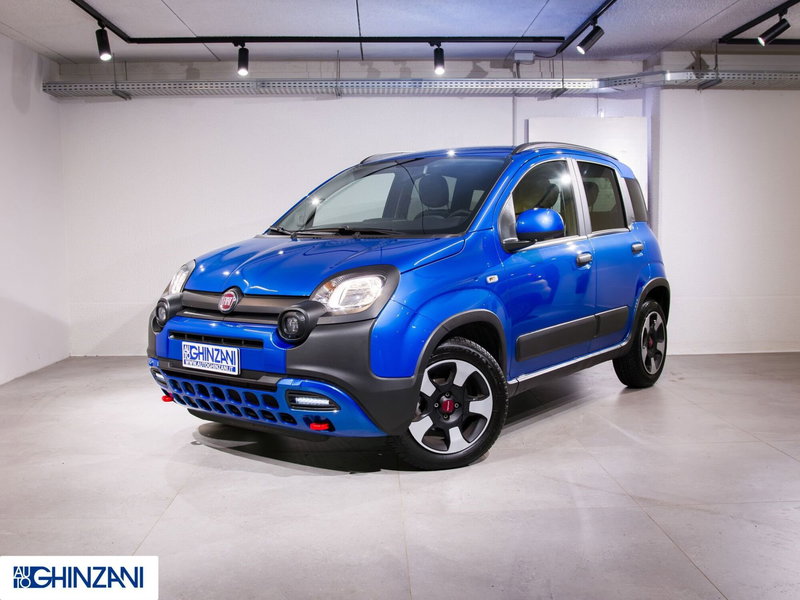 Fiat Panda Cross usata a Bergamo (3)