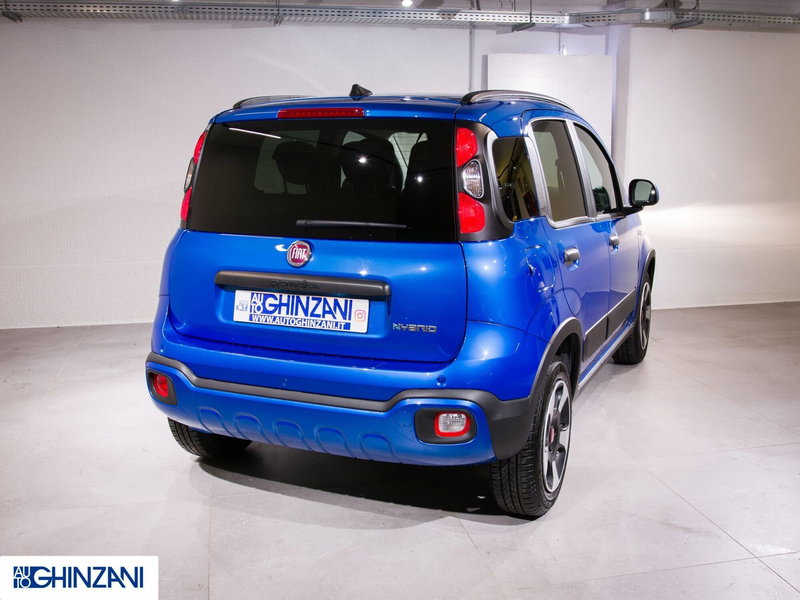Fiat Panda Cross usata a Bergamo (8)