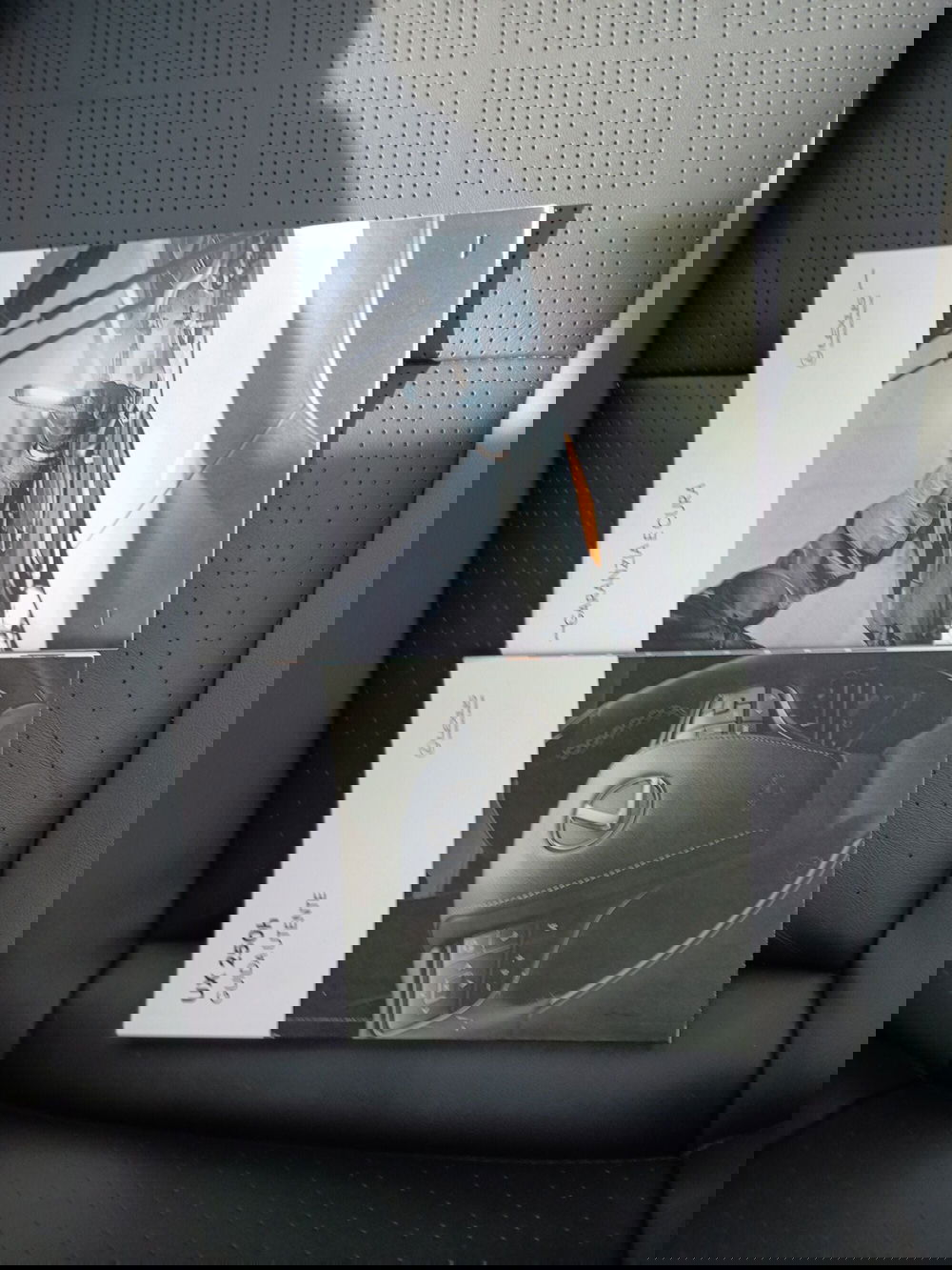 Lexus UX usata a Milano (19)