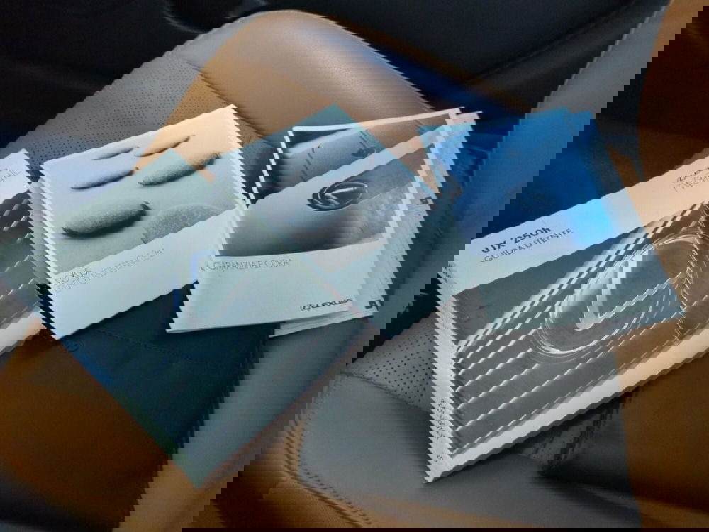 Lexus UX usata a Milano (18)