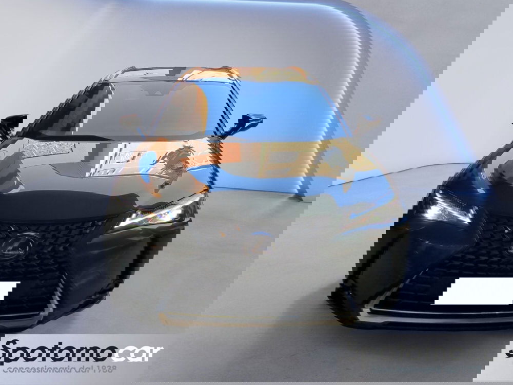Lexus UX usata a Milano (6)