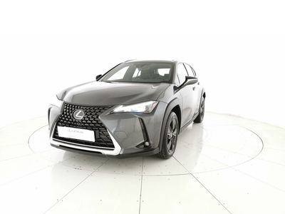 Lexus UX 300e 72,8kWh Urban del 2023 usata a San Giovanni Teatino