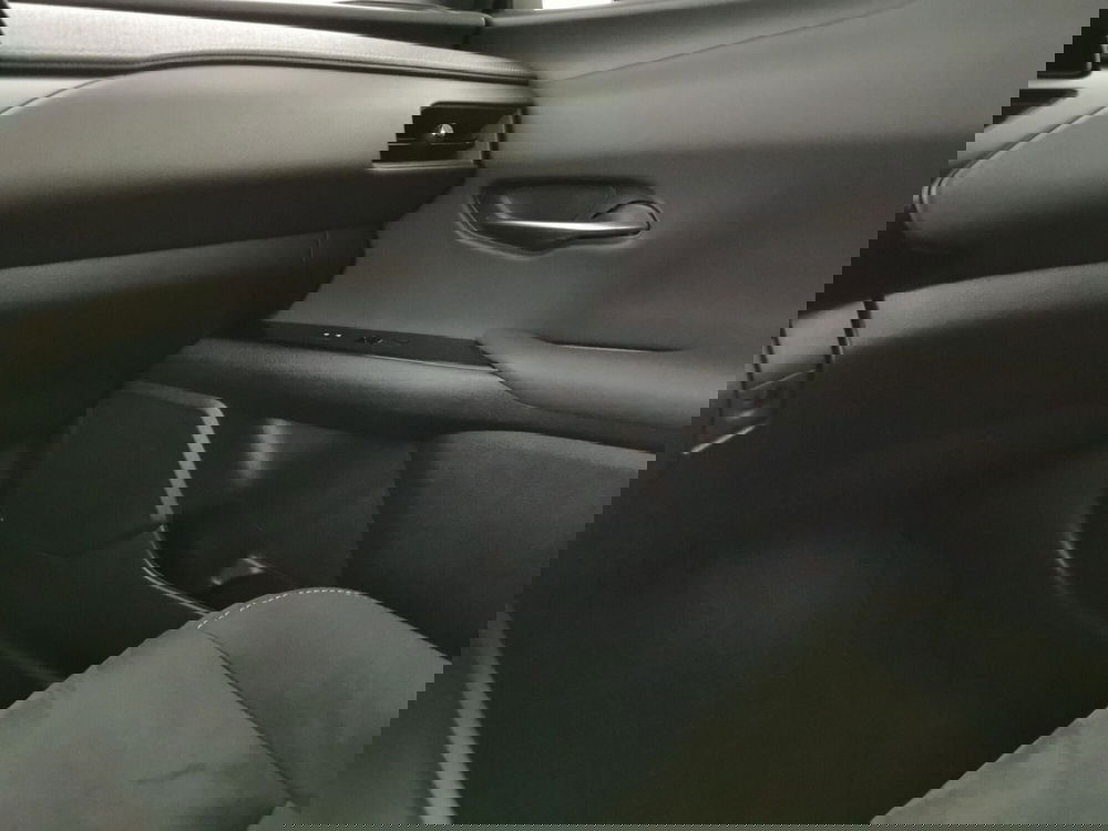 Lexus UX usata a Chieti (20)