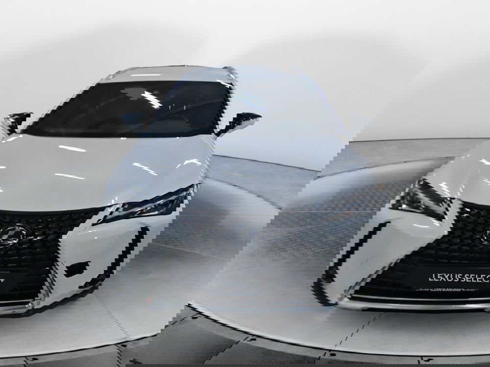 Lexus UX usata a Bologna (2)