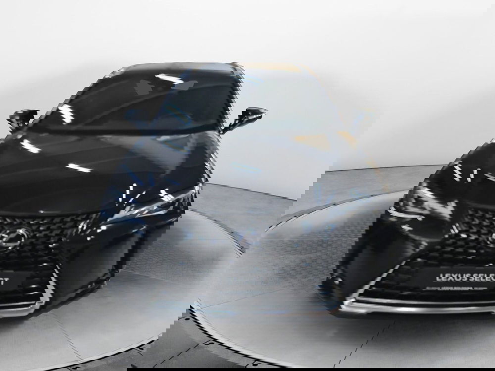 Lexus UX usata a Bologna (2)