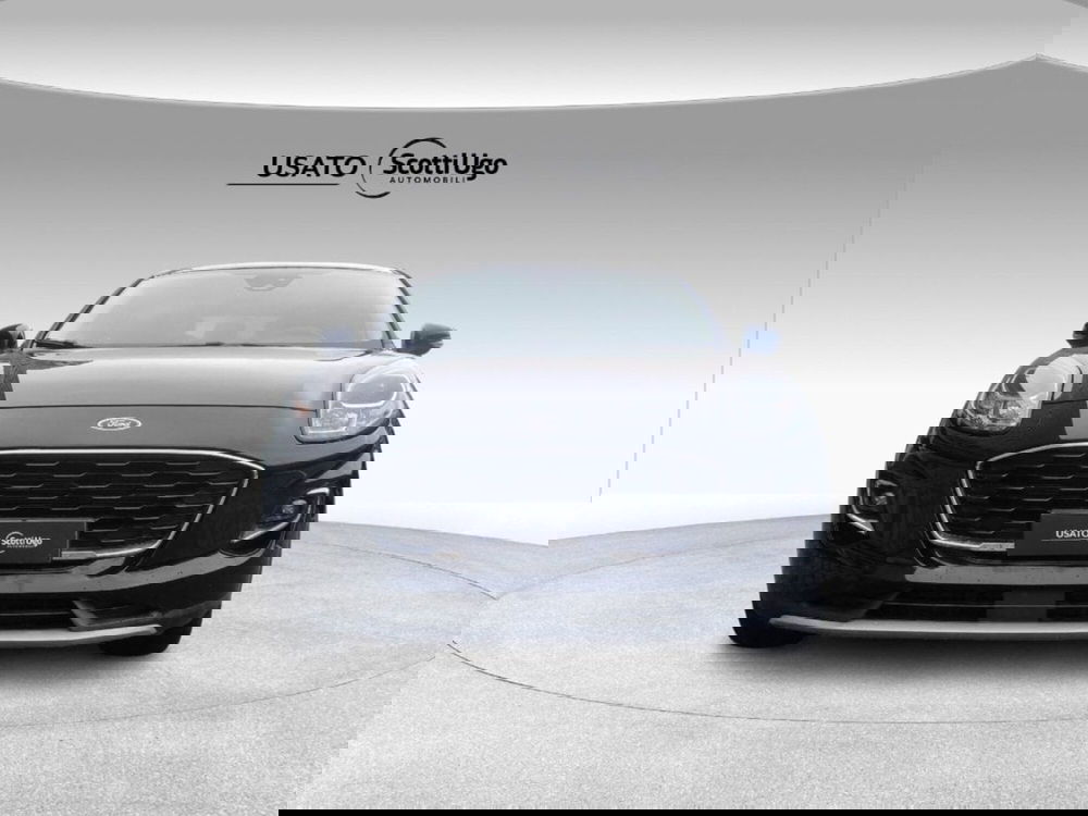 Ford Puma usata a Siena (2)