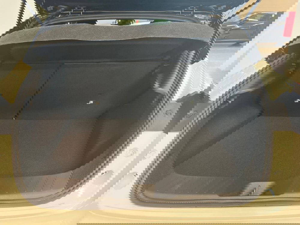 Nissan Juke usata a Siena (15)