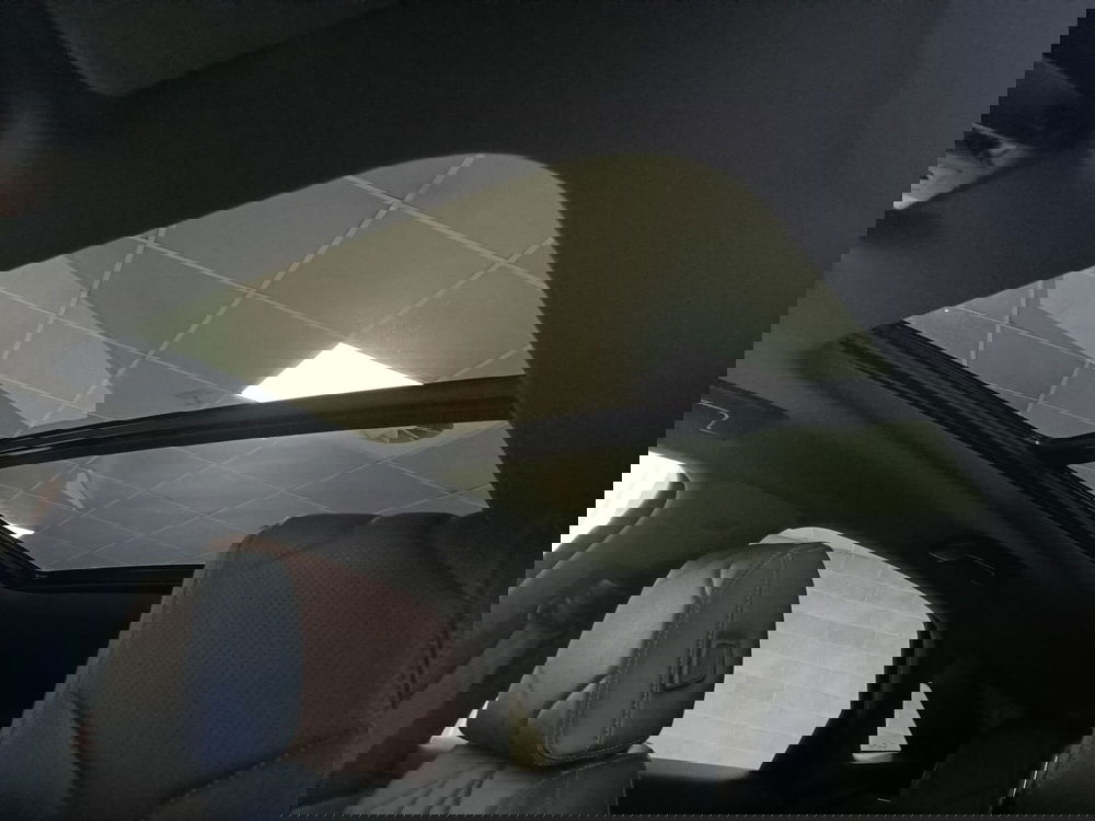 Ds DS 7 usata a Torino (18)