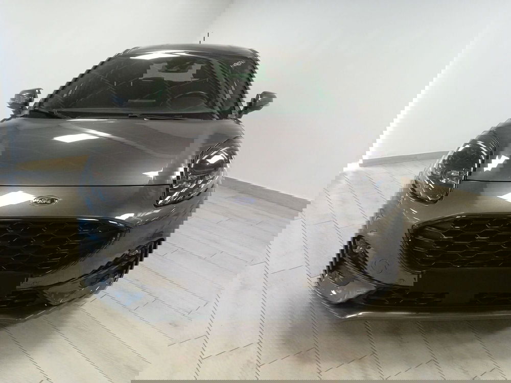 Ford Puma usata a Torino (2)