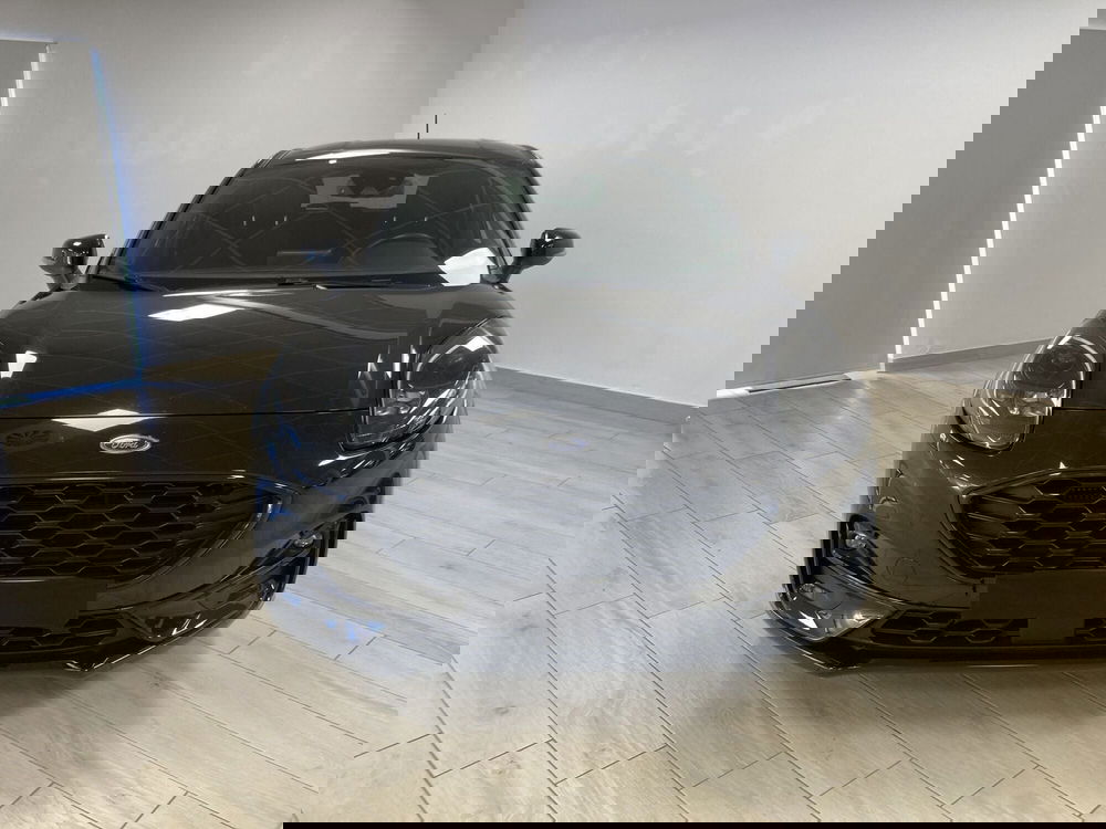 Ford Puma usata a Torino (2)