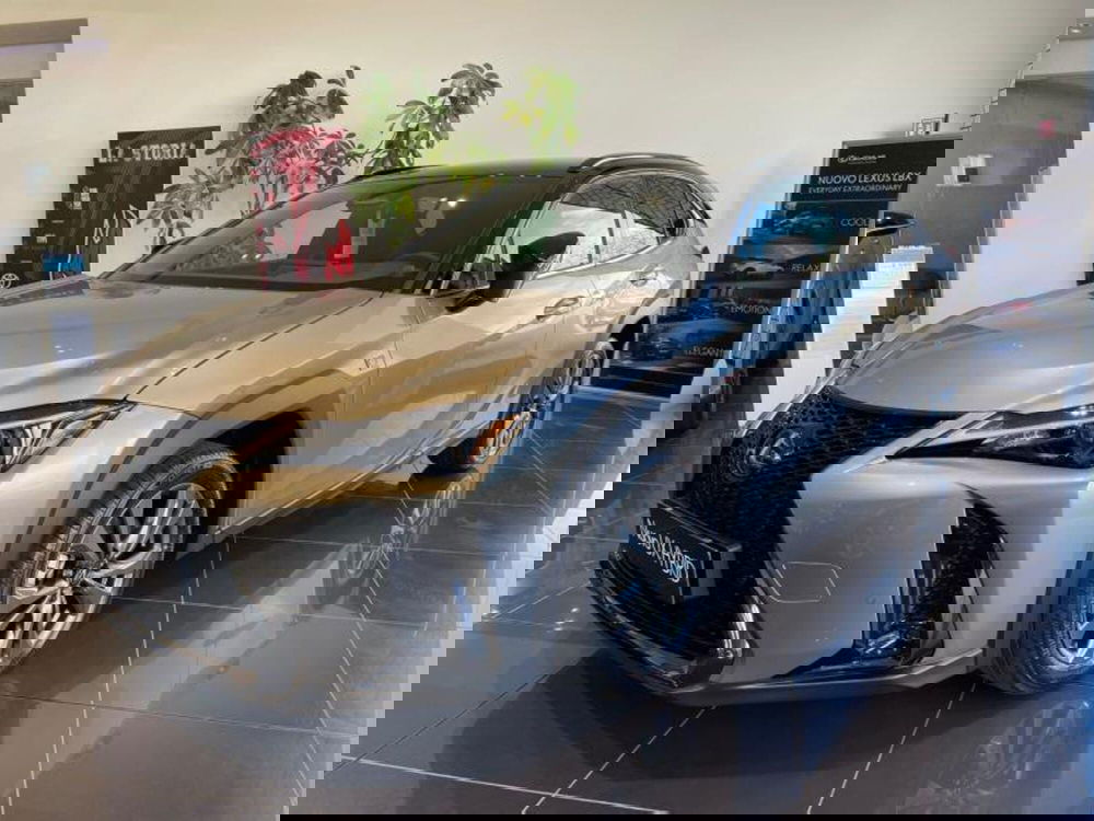 Lexus UX nuova a Perugia