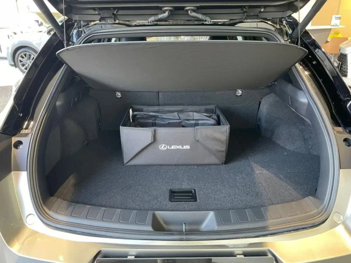 Lexus UX nuova a Perugia (12)