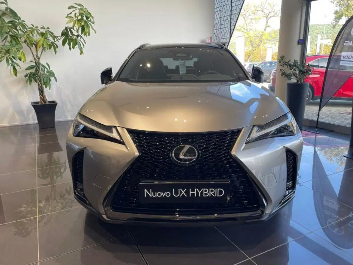 Lexus UX nuova a Perugia (2)