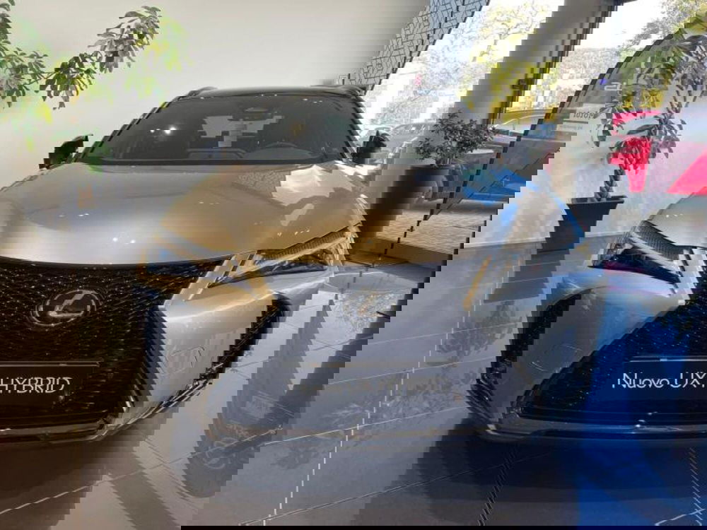 Lexus UX nuova a Perugia (2)