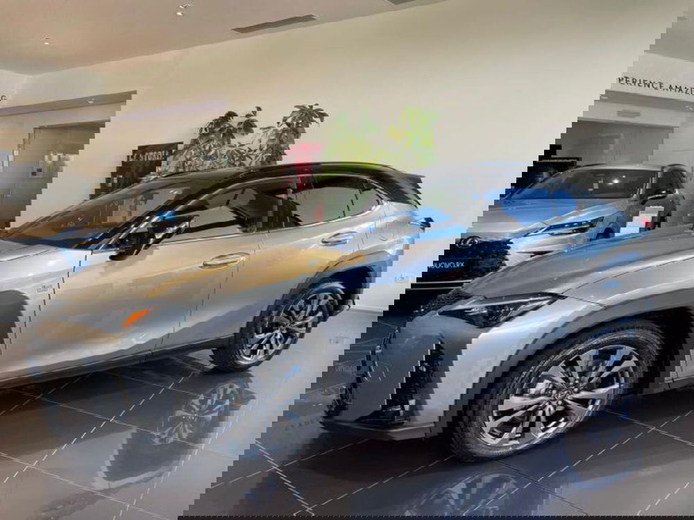 Lexus UX nuova a Perugia (4)