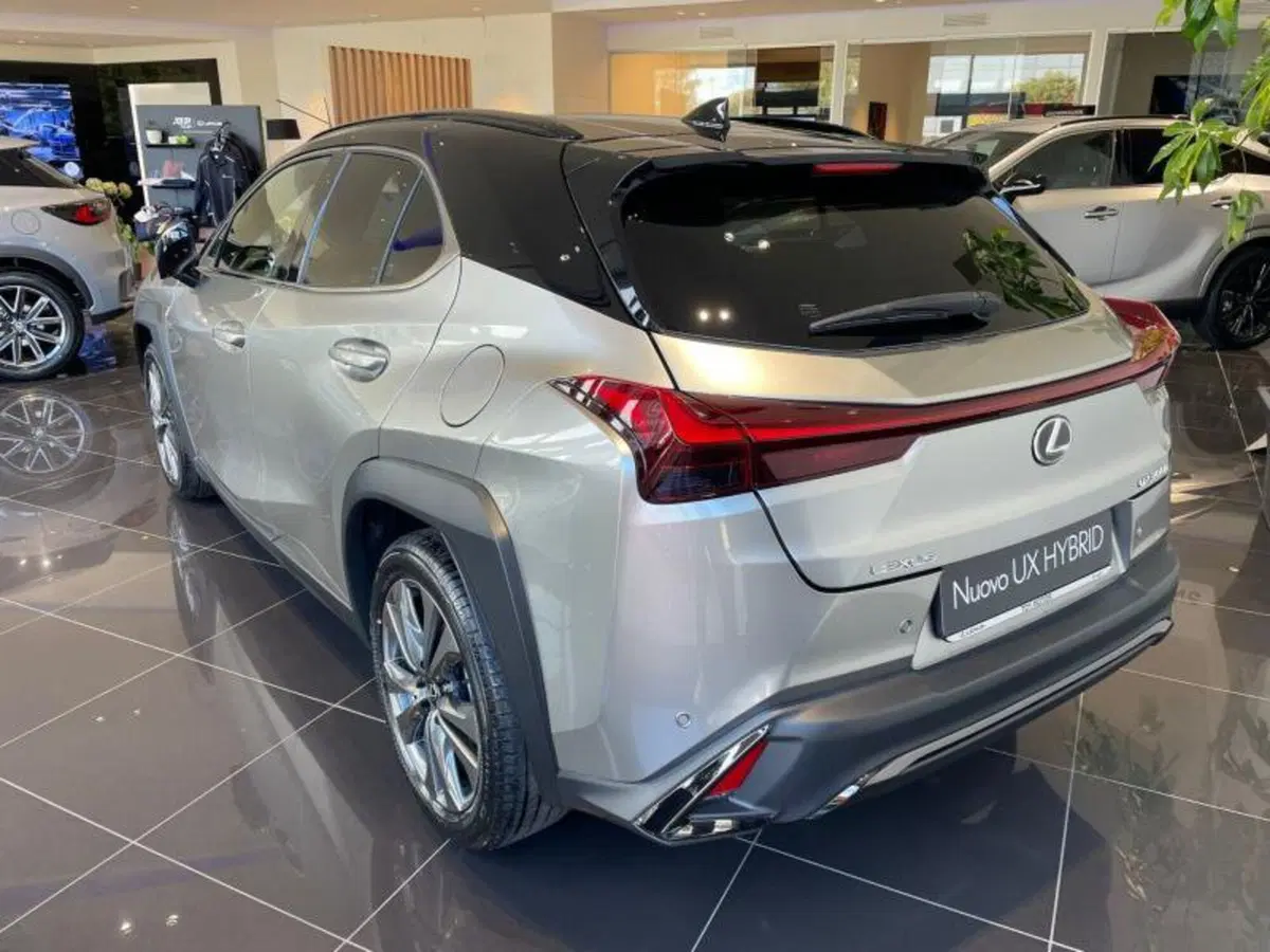 Lexus UX nuova a Perugia (6)