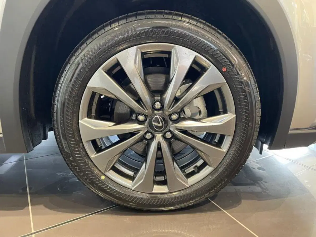Lexus UX nuova a Perugia (7)