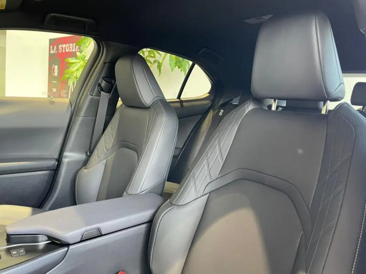 Lexus UX nuova a Perugia (9)