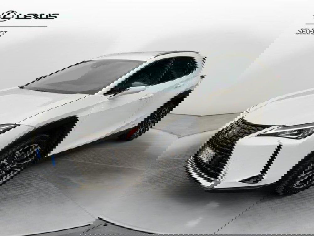 Lexus UX usata a Perugia